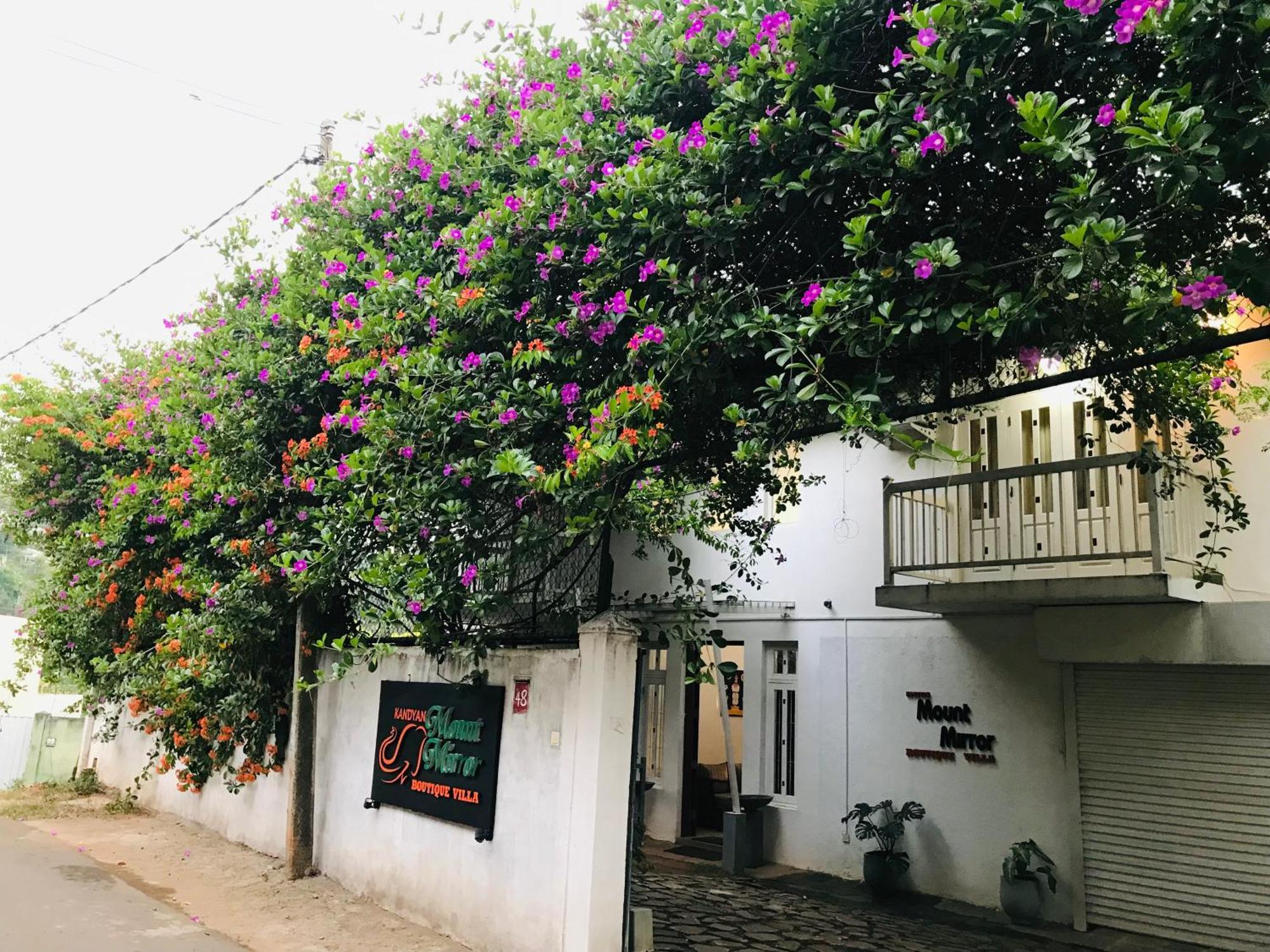 Kandyan Mount Mirror Boutique Villa 外观 照片